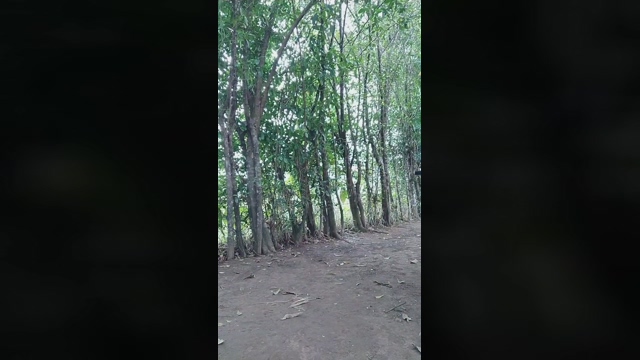 xmonster_blackx  09-02-2022
